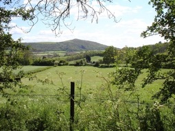 Crook Peak