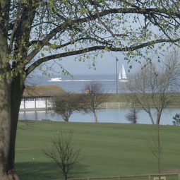 Portishead Lake Ground